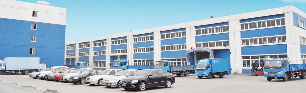 company profile